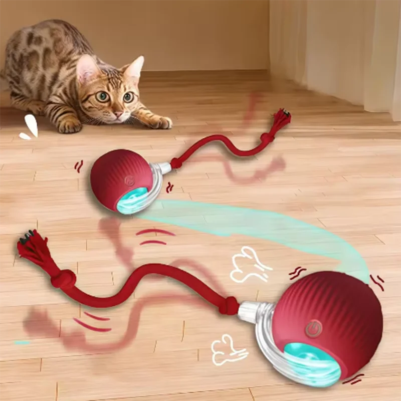 Pet Toys