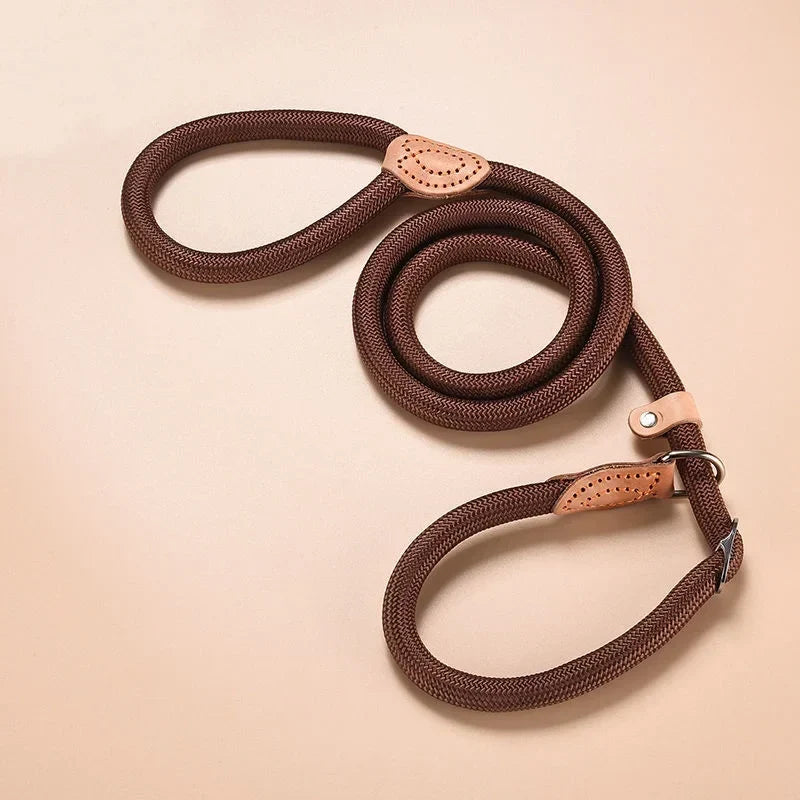 Pet Collar & Leash