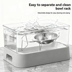 Stainless Steel Slanted Pet Bowl for Cats and Dogs